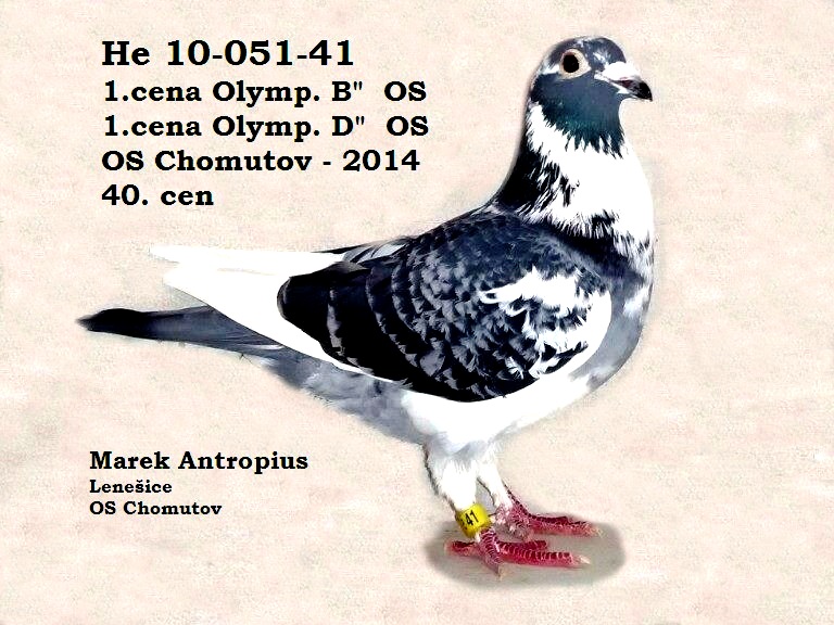 He 10-051-41  1.cena Ol.kategorie D -2014     OS Chomutov 40.cen
